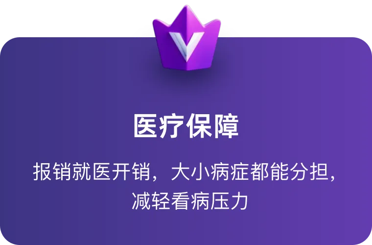 医疗保障